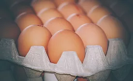 European Salmonella Outbreak Linked to Eggs Sickens Approximately 300 People