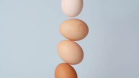 eggs vertical line