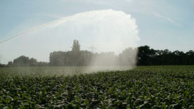 FDA Debuts Agricultural Water Assessment Builder