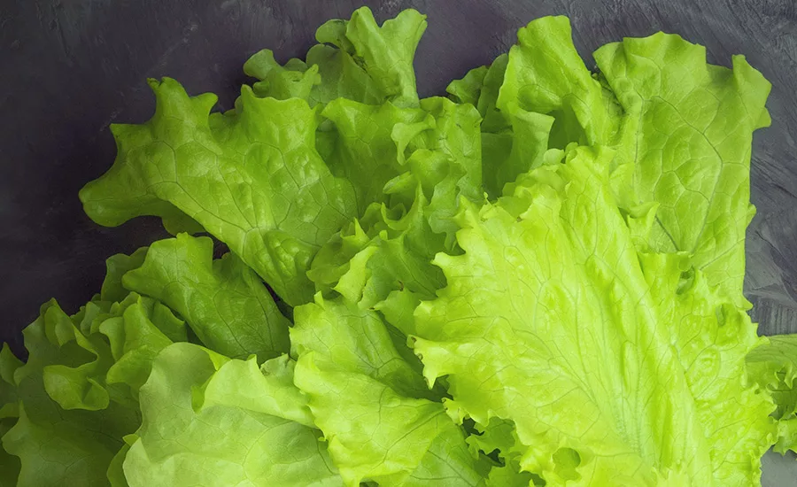 Retail Food Safety Professionals Set Food Safety Initiatives for 2022