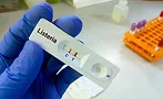 FSIS and FDA FSIS and FDA sharing Listeria info