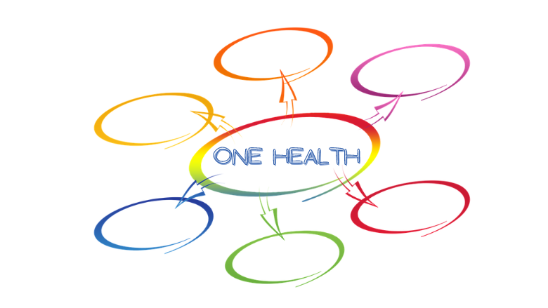 one health graphic