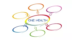 one health graphic