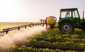 FDA Announces Guidance on Enforcement Approach to Human Food with Chlorpyrifos Residues
