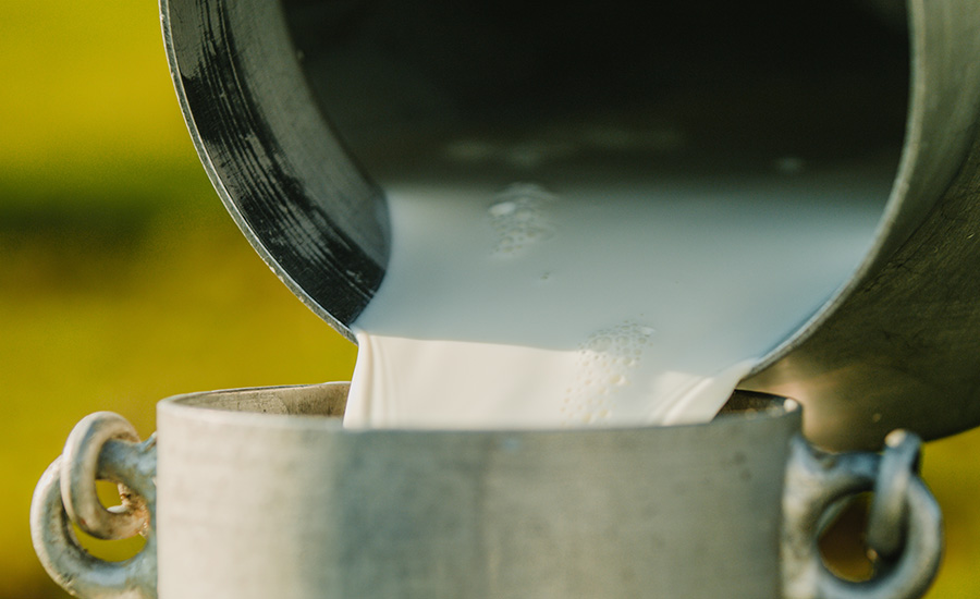 Missouri Mulls Becoming Third State to Legalize Retail Raw Milk Sales