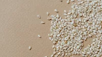 sesame seeds on paper bag.png sesame seeds on paper bag