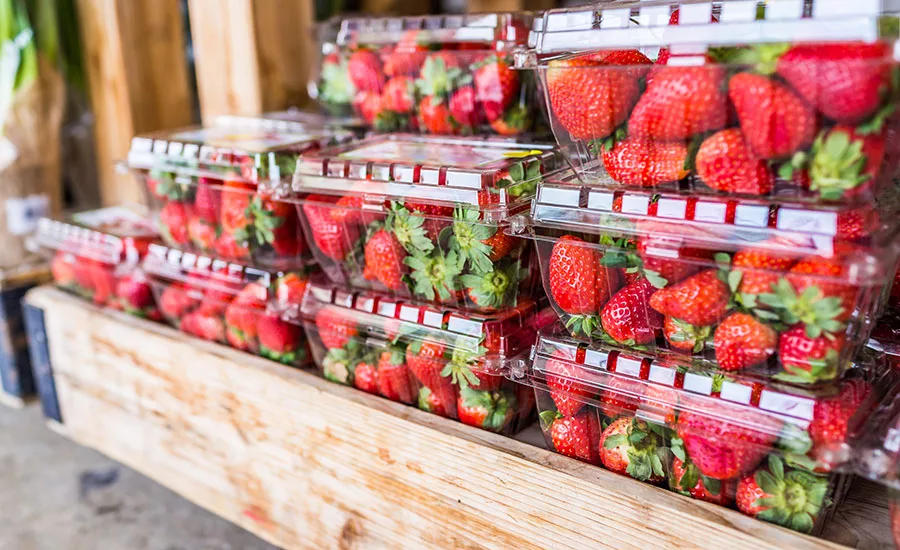 strawberries in plastic containers