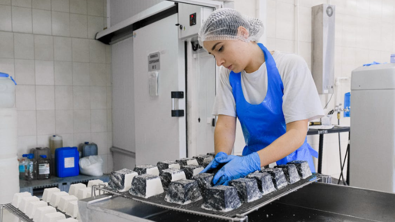 woman working in cheese factory