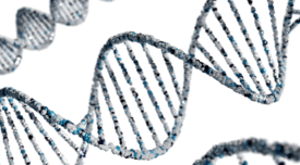 DNA strand against a white background