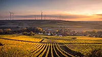a field of crops with windmills in the horizon a field of crops with windmills in the horizon