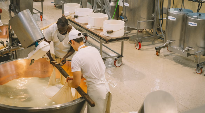 a group of people working in a cheese factory