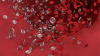 3d rendering of a blood vessel