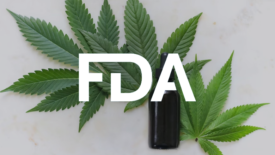 cannabis leaves and tincture bottle with FDA logo overlay