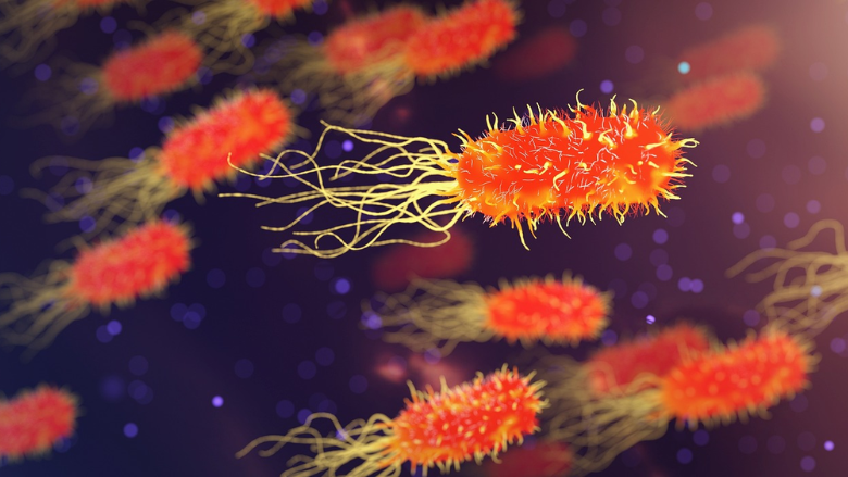 digital rendering of rod shaped bacteria resembling salmonella