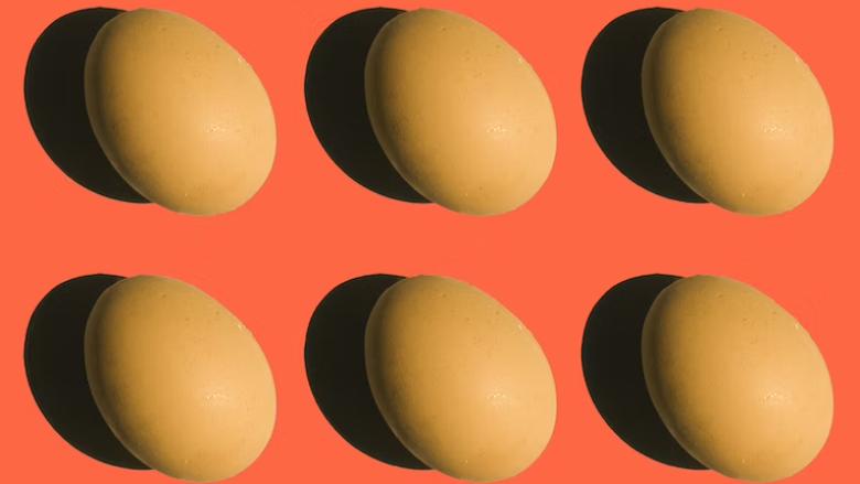 eggs against a red background