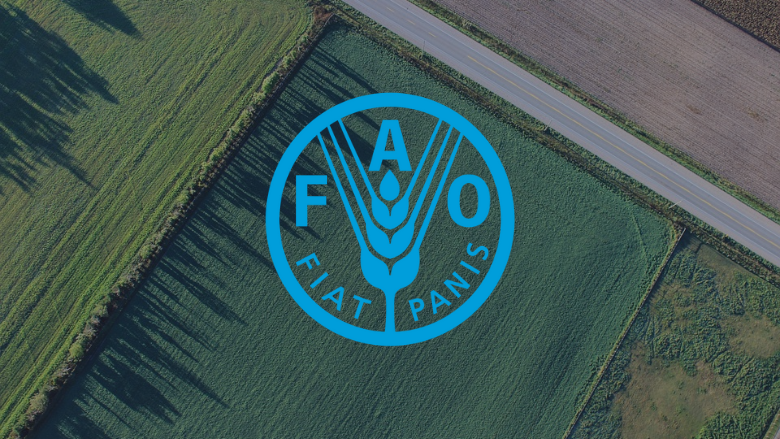 farm aerial view with FAO logo overlay