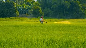 farmer spraying chemicals