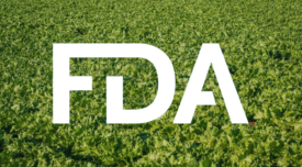 field of lettuce with FDA logo overlay