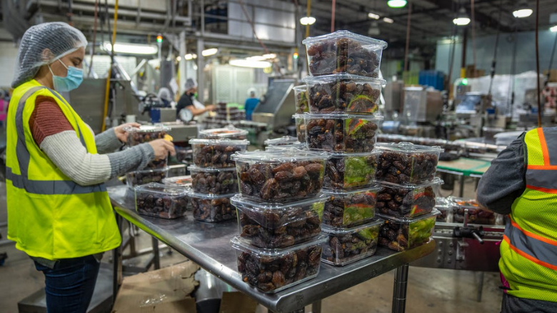 dates processing and packaging