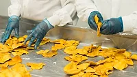 hands working factory line.png people's hands in blue gloves picking up crisps in a food factory line