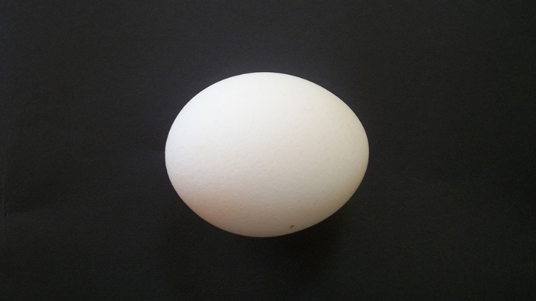 isolated egg.png