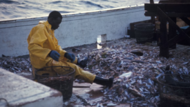 man on a commercial fishing boat