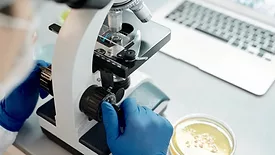 microscope and petri dish