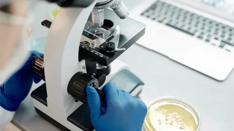 microscope and petri dish