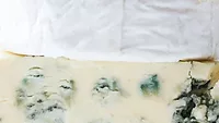 moldy cheese up close