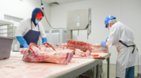 people butchering meat in processing facility