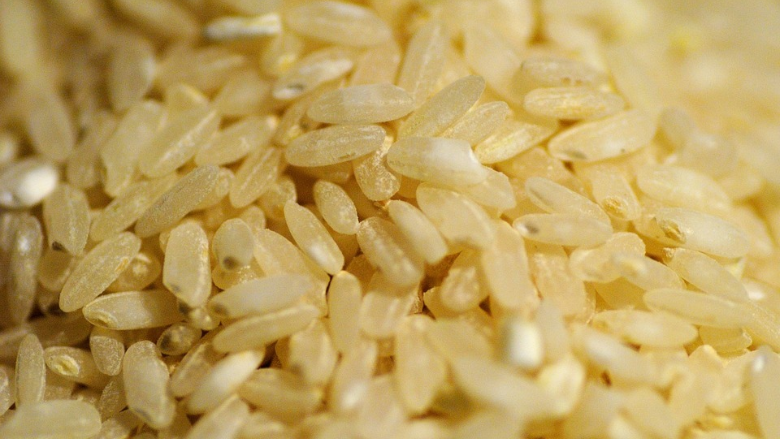 rice grains close up