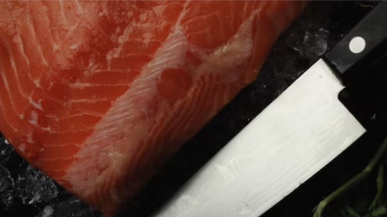 salmon fillet and knife