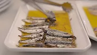sardines in oil on a plate sardines in oil on a plate