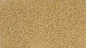 sesame seeds