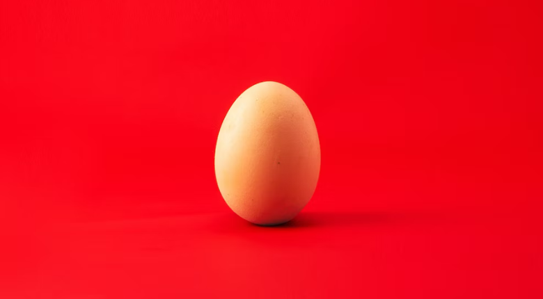 single egg red bacxkground