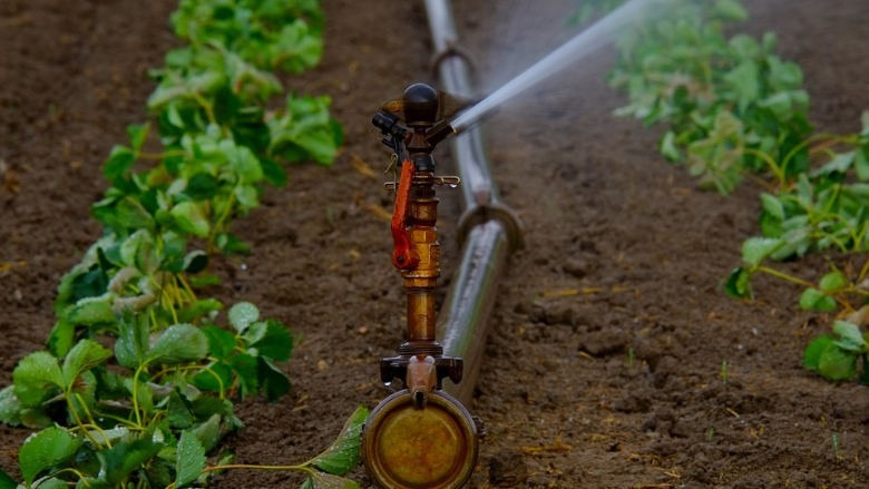 sprinkler watering crops.png
