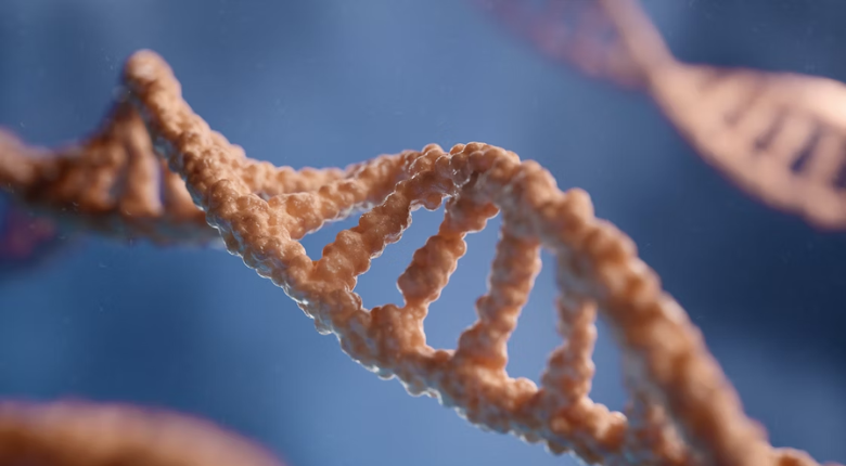 tan DNA strand on blue background