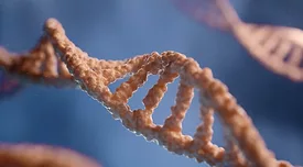 tan DNA strand on blue background