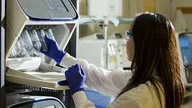 woman conducting WGS