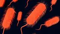 3d rendering of bacteria that looks like salmonella 3d rendering of bacteria that looks like salmonella