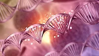 3d rendering of metallic pink dna helix strands 3d rendering of metallic pink dna helix strands