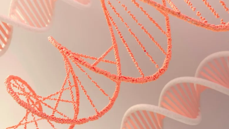 3d rendering of orange dna helixes