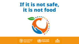 'If it is not safe, it is not food' WFSD banner