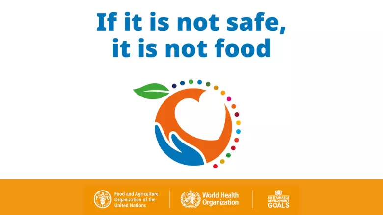 'If it is not safe, it is not food' WFSD banner