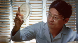 a man inspecting a bacteria culture on agar plate