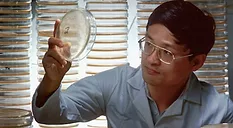 a man inspecting a bacteria culture on agar plate