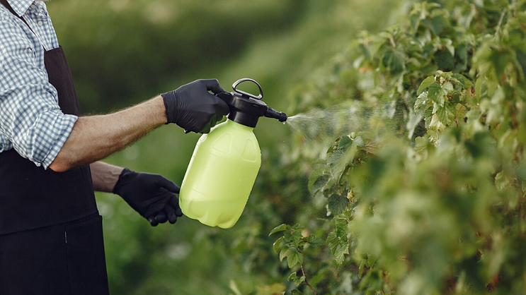 Do You Need Gloves When Using Sprayers: Essential Safety Tips