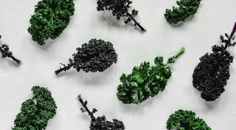 individual curly kale leafs