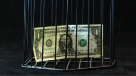one dollar bill inside a cage
