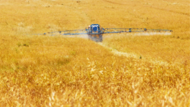 pesticide sprayer golden crop field
